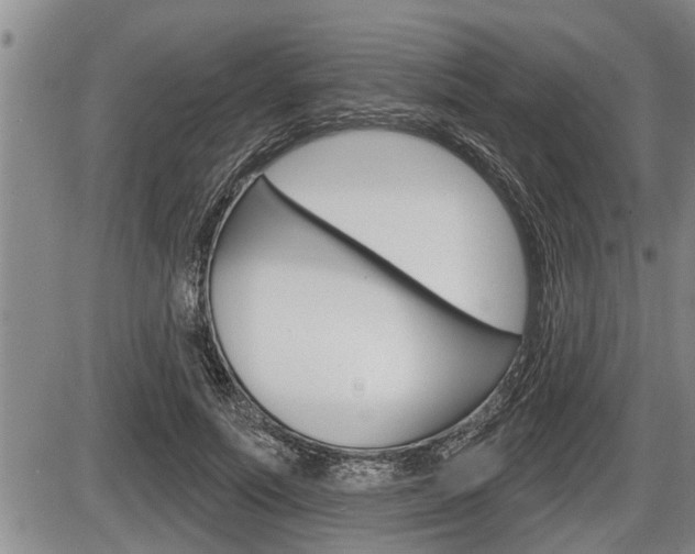 X0000086270691200703291037