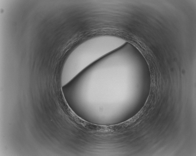 X0000086270696200703291037