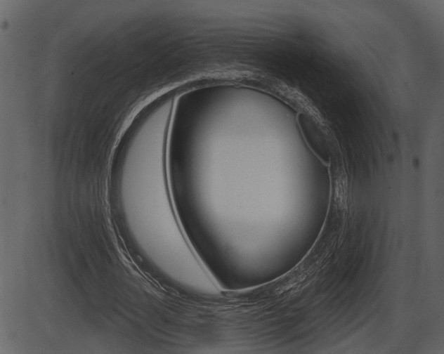 X0000086270724200703291036