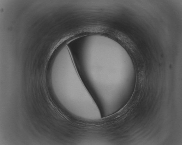 X0000086270727200703291036