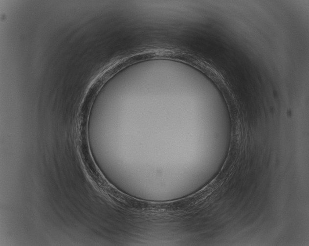 X0000086270730200703291036