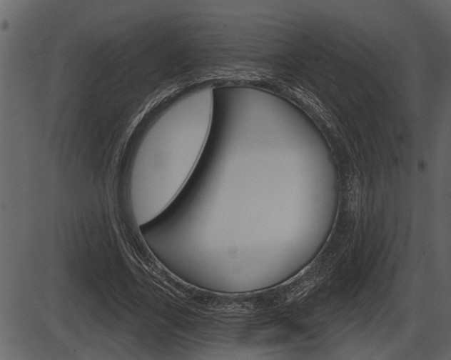 X0000086270731200703291036