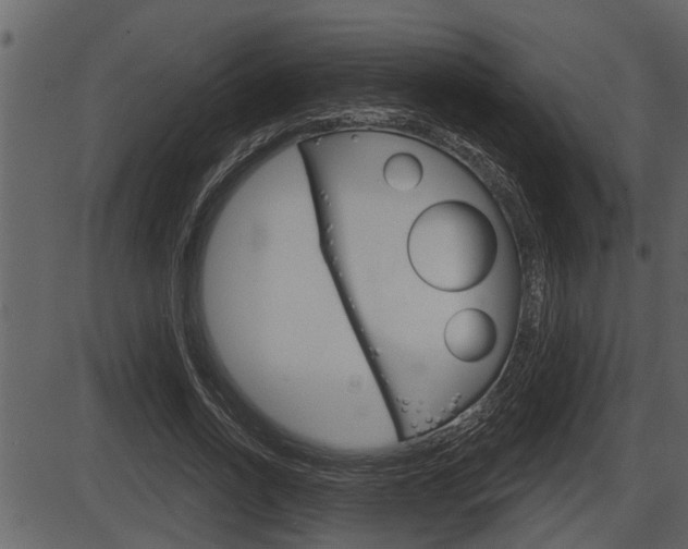 X0000086270734200703291036