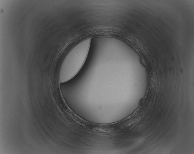 X0000086270739200703291036