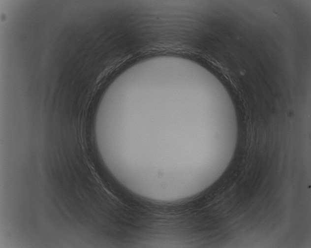 X0000086270740200703291036