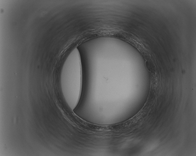 X0000086270742200703291036