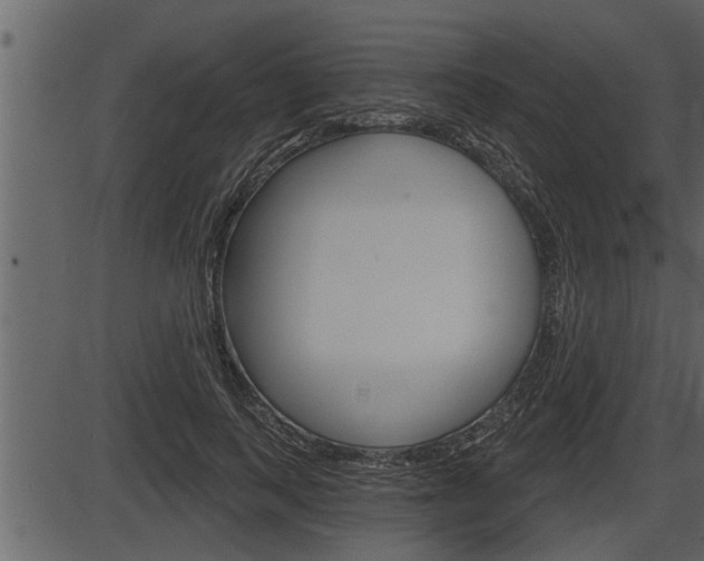 X0000086270743200703291036