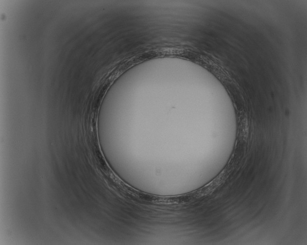 X0000086270746200703291036