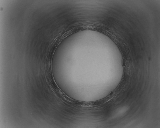 X0000086270747200703291036