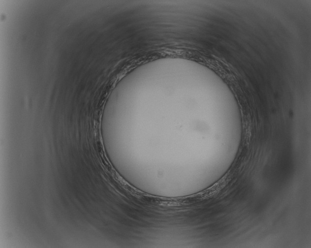 X0000086270749200703291036