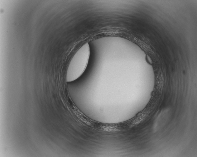 X0000086270755200703291036