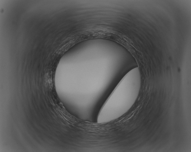 X0000086270771200703291036