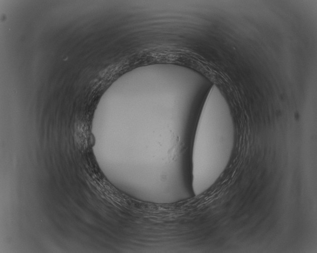 X0000086270772200703291036