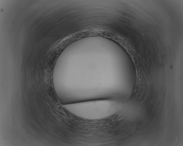 X0000086270773200703291036