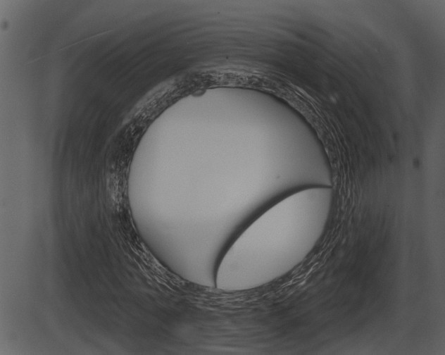 X0000086270774200703291036