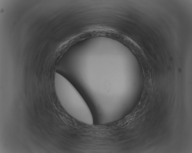 X0000086270775200703291036