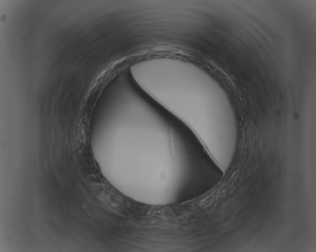 X0000086270776200703291036