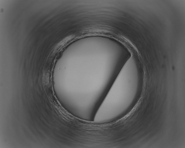 X0000086270777200703291036