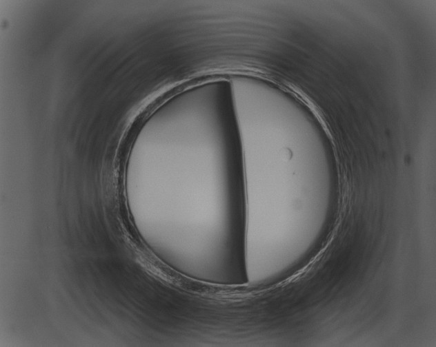 X0000086270779200703291036
