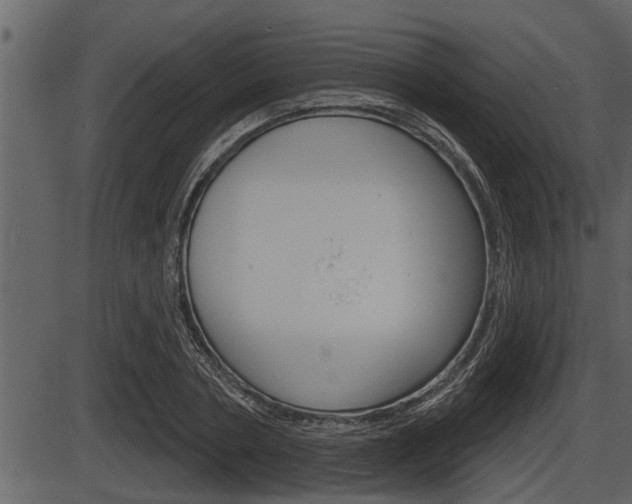 X0000086270786200703291036