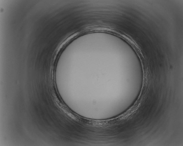 X0000086270790200703291035