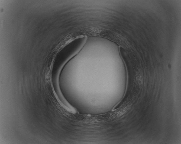 X0000086270818200703291034