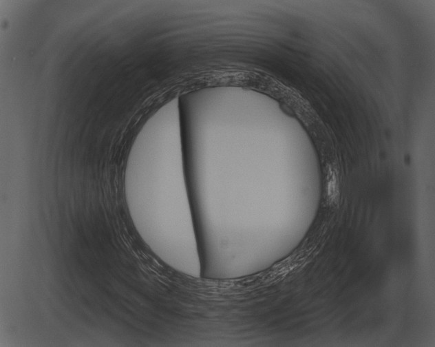 X0000086270819200703291034