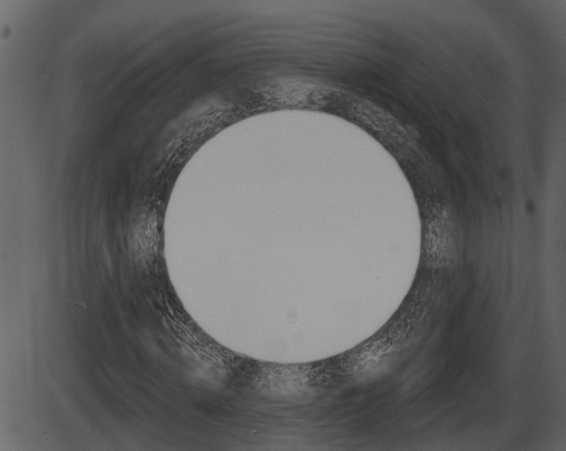 X0000086270820200703291034