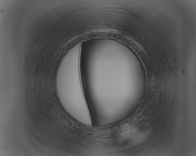 X0000086270821200703291034