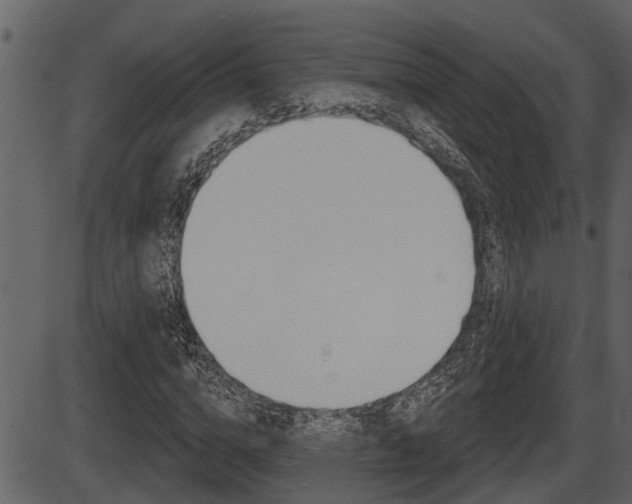 X0000086270824200703291034