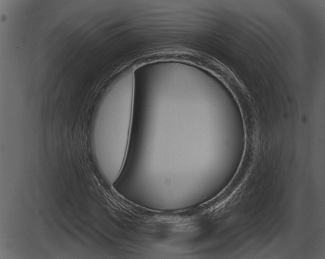 X0000086270825200703291034