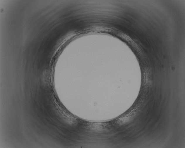 X0000086270828200703291034