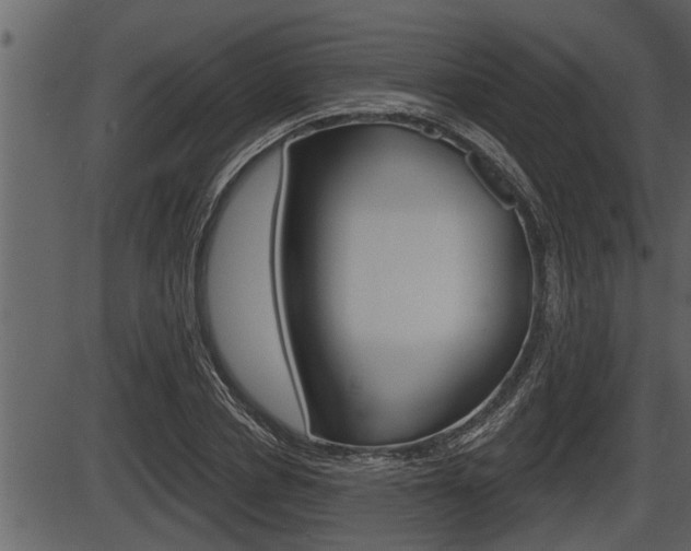 X0000086270834200703291034
