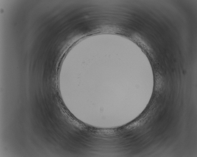 X0000086270836200703291034