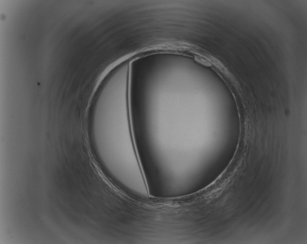 X0000086270838200703291035