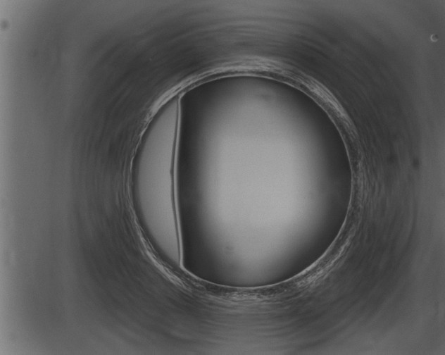 X0000086270842200703291035