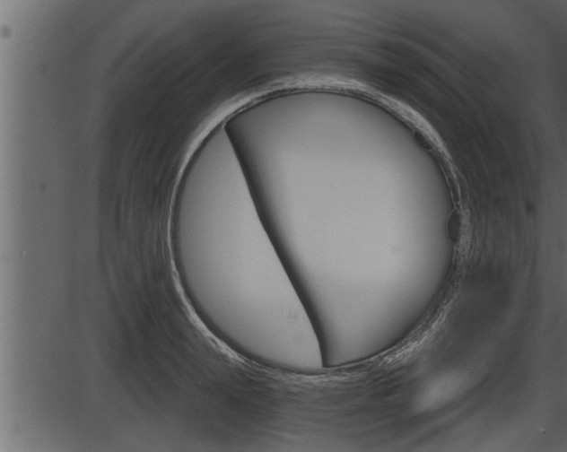 X0000086270847200703291035