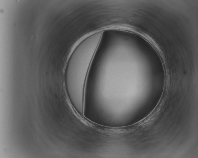 X0000086270862200703291035