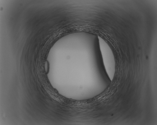 X0000086270865200703291034