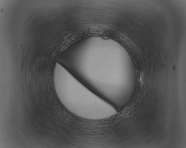 X0000086270867200703291034
