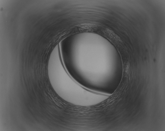 X0000086270868200703291034