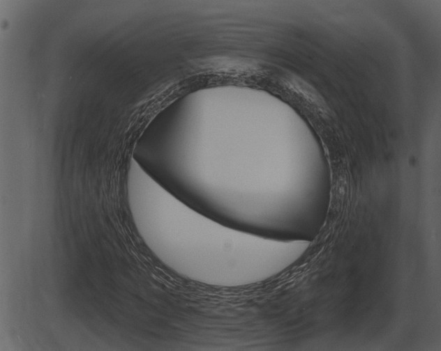 X0000086270869200703291034