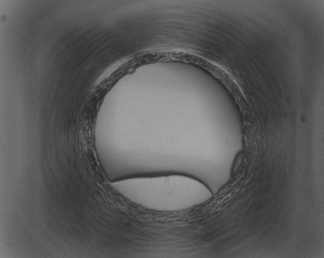 X0000086270871200703291034