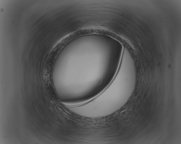 X0000086270872200703291034
