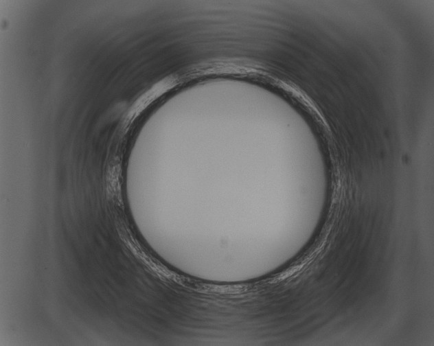 X0000086270874200703291034