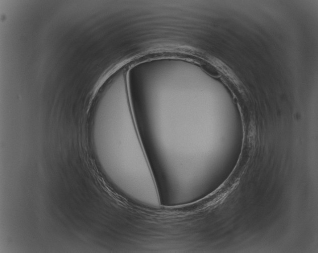 X0000086270877200703291034