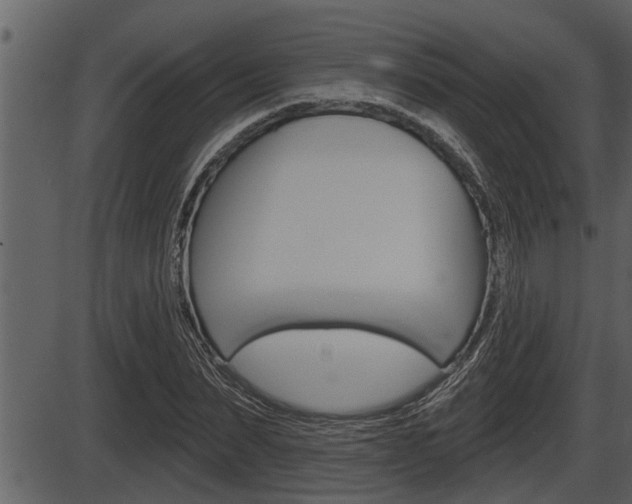 X0000086270879200703291034