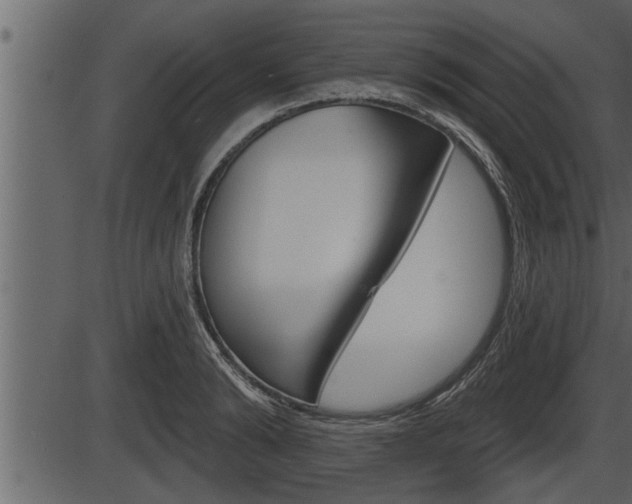 X0000086270894200703291034