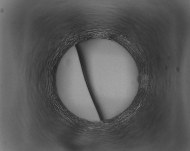 X0000086270913200703291033