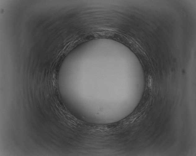 X0000086270915200703291033